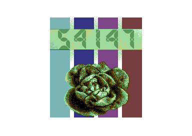 Kraut54147 - Cabbage