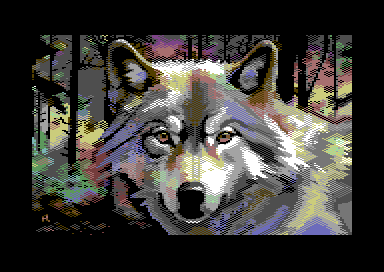 Wilki - Autumn Wolf